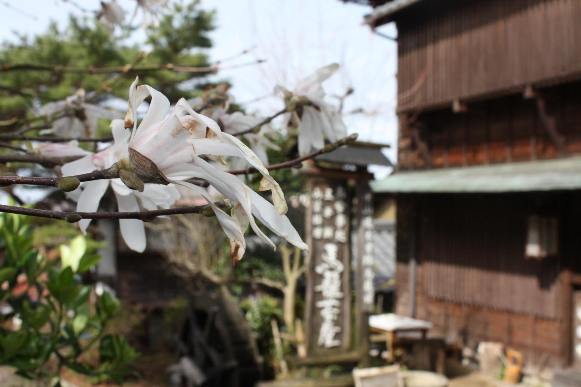 Magome Chaya Hotel Nakatsugawa Bagian luar foto