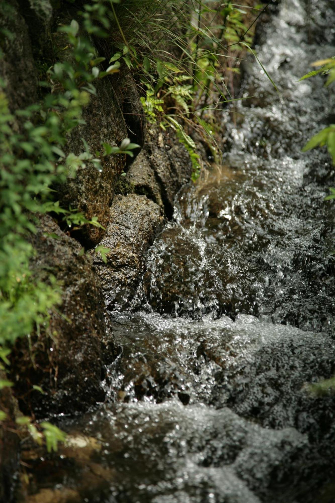 Magome Chaya Hotel Nakatsugawa Bagian luar foto