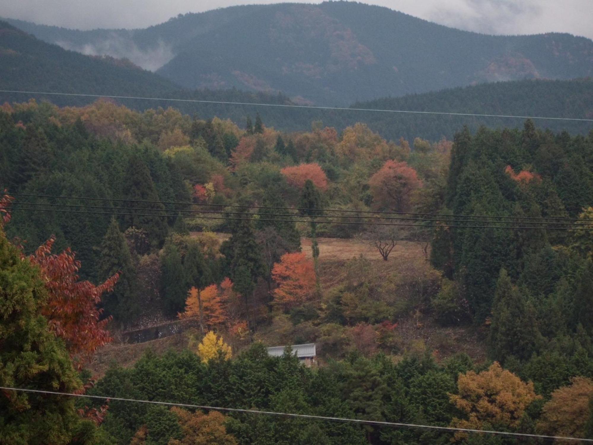 Magome Chaya Hotel Nakatsugawa Bagian luar foto